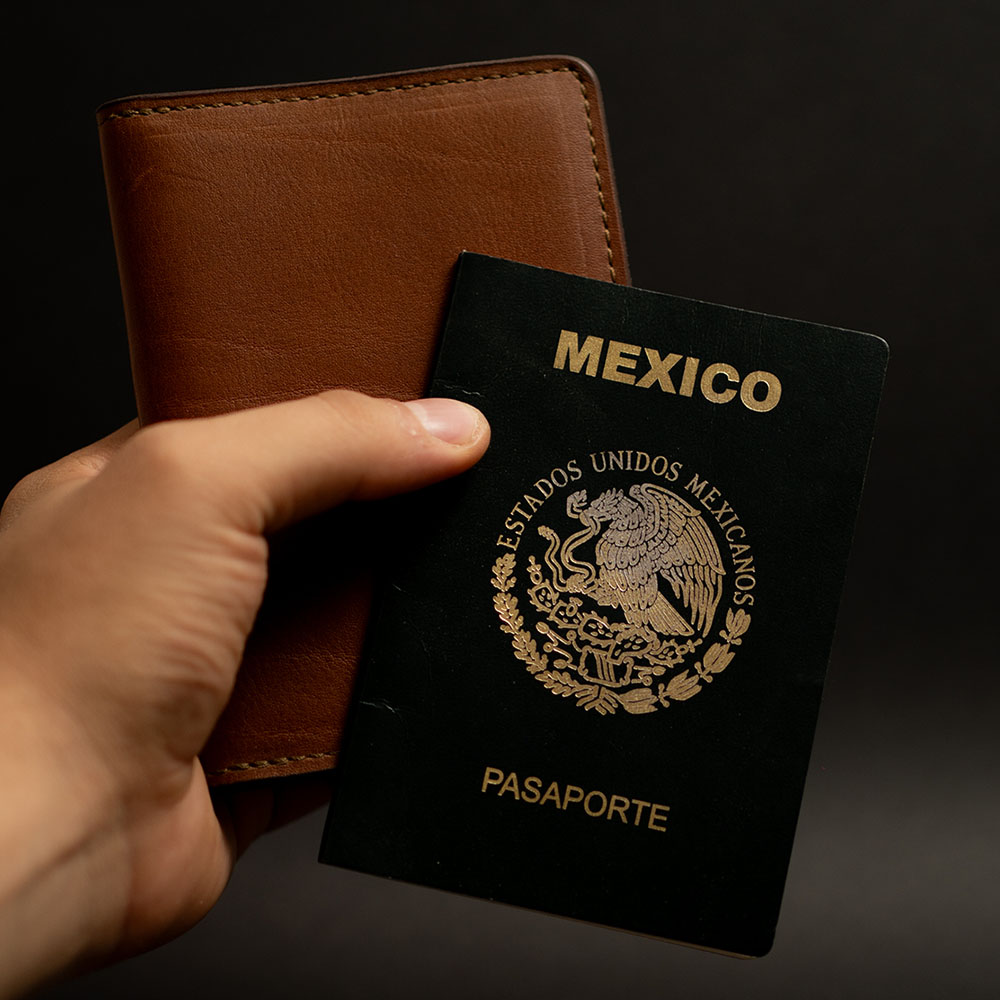 porta pasaporte porta pasaporte
